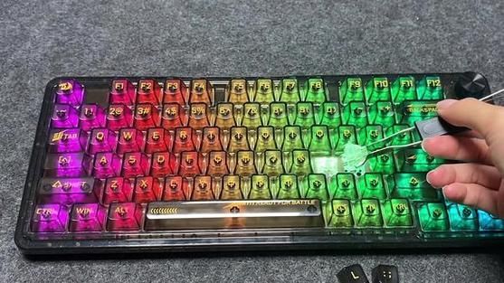 紅龍品牌有哪些主要產品 紅龍品牌有哪些主要產品 龍魚百科 第11張