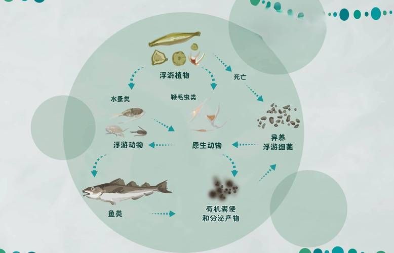 哪些因素會影響魚的品質，影響魚品質的因素