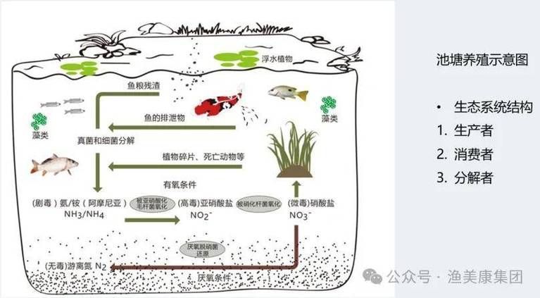 哪些因素會影響魚的品質，影響魚品質的因素