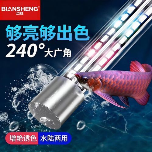 有哪些性價比高的龍魚燈品牌推薦，性價比高的龍魚燈品牌推薦