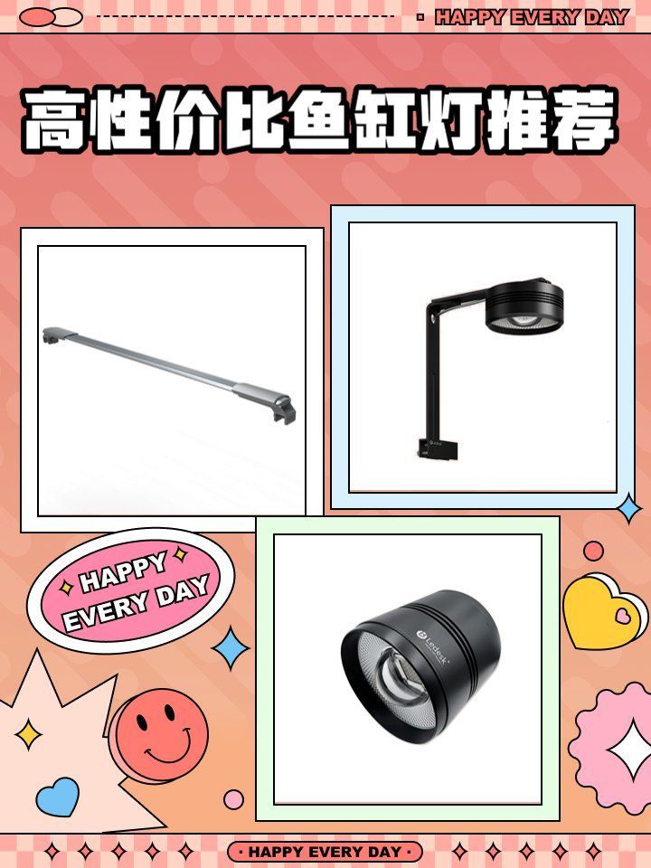 有哪些性價比高的龍魚燈品牌推薦，性價比高的龍魚燈品牌推薦