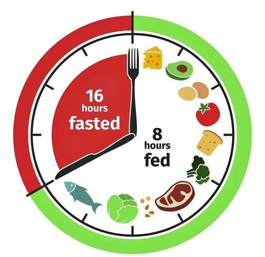 停食期間需要做什么，停食期間的科學操作指南 停食期間需要做什么，停食期間的科學操作指南 龍魚百科 第5張
