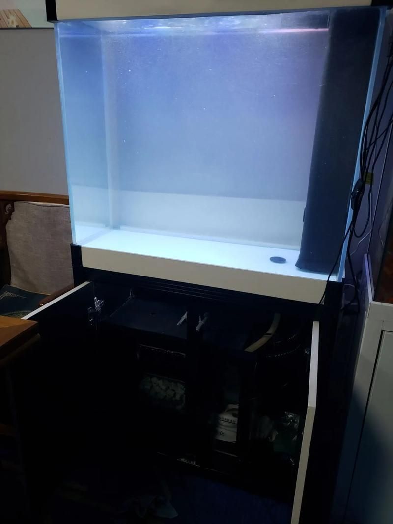 彩鰈品牌哪個型號最好？，專業水族箱彩鰈（cade） 彩鰈品牌哪個型號最好？，專業水族箱彩鰈（cade） 龍魚百科 第5張