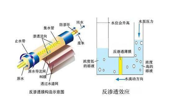 改善水質有哪些具體方法,混凝-沉淀—過濾—過濾—過濾-消毒 龍魚百科 第9張 改善水質有哪些具體方法,混凝-沉淀—過濾—過濾—過濾-消毒 改善水質有哪些具體方法,混凝-沉淀—過濾—過濾—過濾-消毒 龍魚百科 第9張