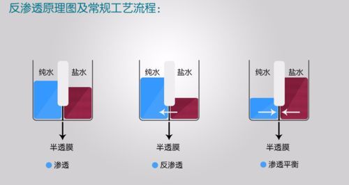 改善水質有哪些具體方法,混凝-沉淀—過濾—過濾—過濾-消毒 龍魚百科 第6張 改善水質有哪些具體方法,混凝-沉淀—過濾—過濾—過濾-消毒 改善水質有哪些具體方法,混凝-沉淀—過濾—過濾—過濾-消毒 龍魚百科 第6張