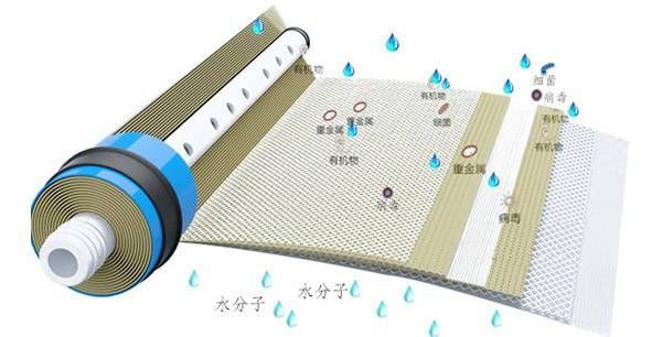 改善水質有哪些具體方法,混凝-沉淀—過濾—過濾—過濾-消毒 龍魚百科 第7張 改善水質有哪些具體方法,混凝-沉淀—過濾—過濾—過濾-消毒 改善水質有哪些具體方法,混凝-沉淀—過濾—過濾—過濾-消毒 龍魚百科 第7張