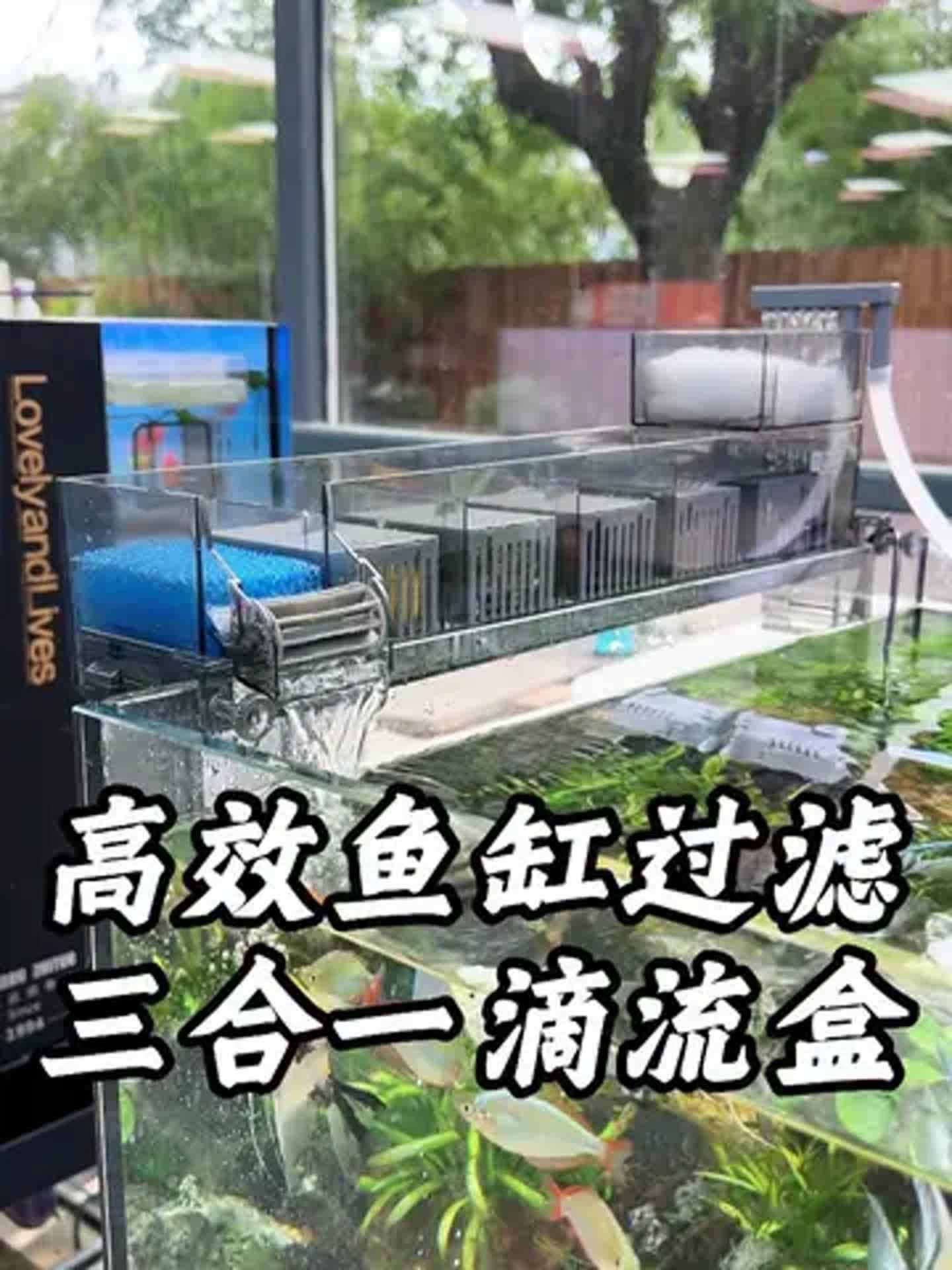 如何設置60厘米魚缸的過濾系統？，60厘米魚缸過濾系統設置 如何設置60厘米魚缸的過濾系統？，60厘米魚缸過濾系統設置 龍魚百科 第2張