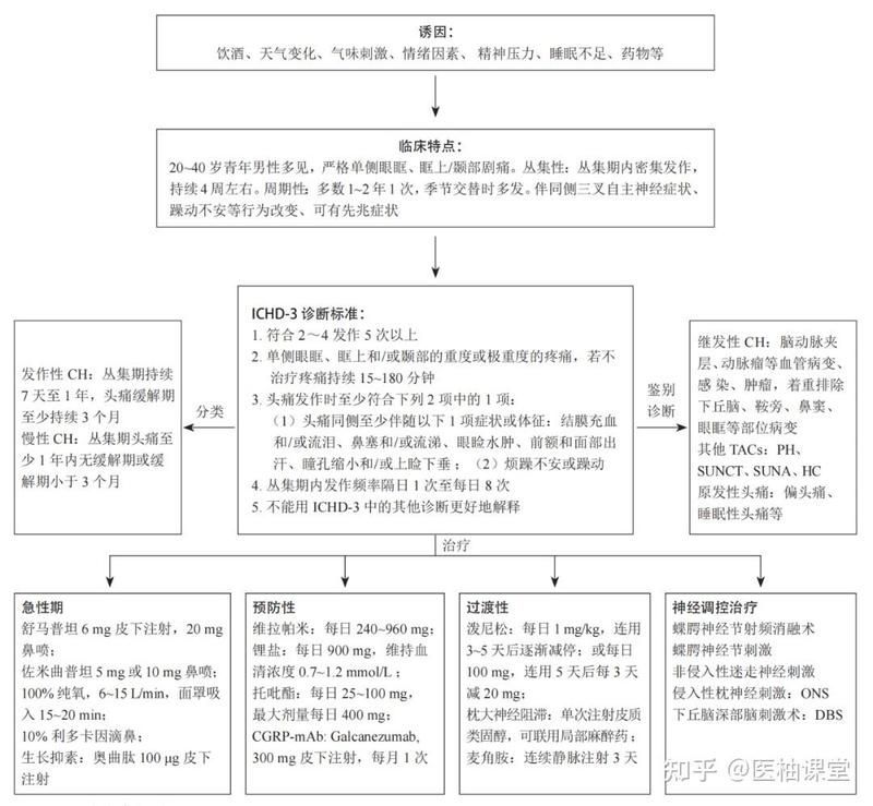 能否提供更詳細的診斷步驟，臨床診斷流程 能否提供更詳細的診斷步驟，臨床診斷流程 龍魚百科 第1張