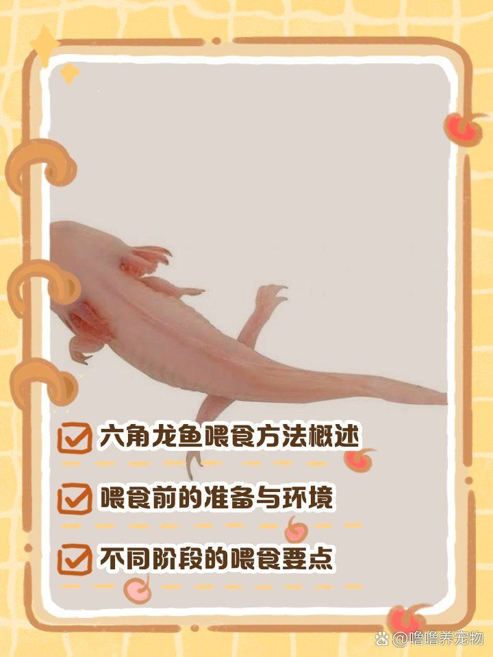 龍魚外傷后如何喂食，調(diào)用工具arxiv論文助手,用戶要求詳解龍魚外傷后如何喂食 龍魚外傷后如何喂食，調(diào)用工具arxiv論文助手,用戶要求詳解龍魚外傷后如何喂食 龍魚百科 第2張
