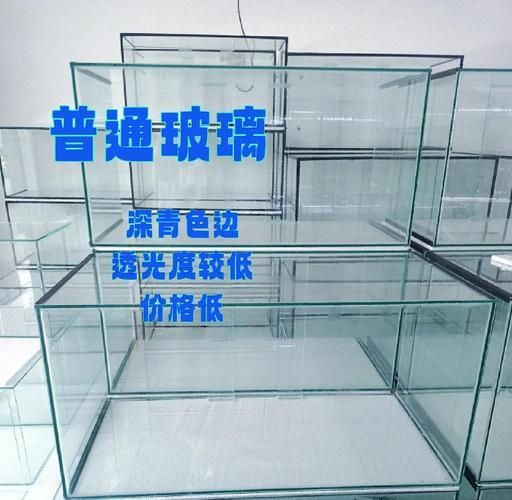 如何判斷魚缸的質(zhì)量?,性價比高的魚缸推薦 龍魚百科 第5張 如何判斷魚缸的質(zhì)量?,性價比高的魚缸推薦 如何判斷魚缸的質(zhì)量?,性價比高的魚缸推薦 龍魚百科 第5張