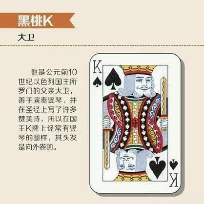 K牌和瑰寶龍哪個更值得購買，k牌與瑰寶龍的區別 K牌和瑰寶龍哪個更值得購買，k牌與瑰寶龍的區別 龍魚百科 第4張