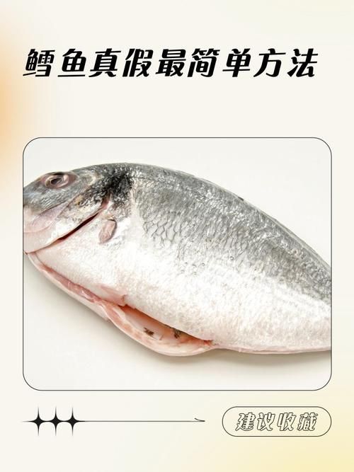 如何判斷魚片是否熟透，烹飪技術之魚片熟透 如何判斷魚片是否熟透，烹飪技術之魚片熟透 龍魚百科 第1張