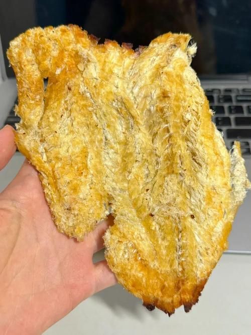 如何判斷魚片是否熟透，烹飪技術之魚片熟透 如何判斷魚片是否熟透，烹飪技術之魚片熟透 龍魚百科 第3張