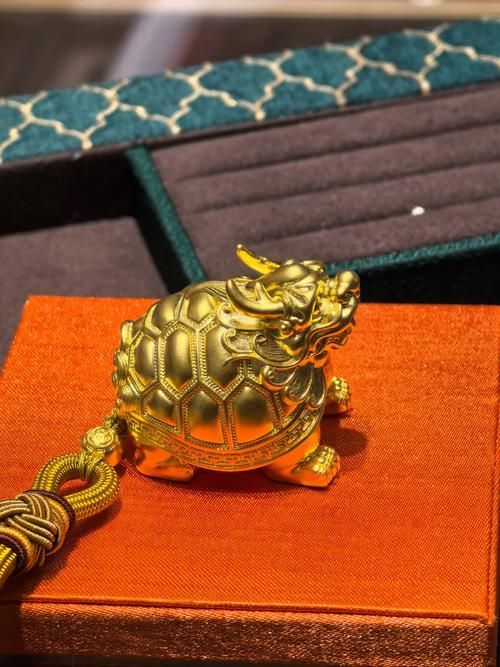有沒有龍龜?shù)膱D片大全，龍龜圖片大全 有沒有龍龜?shù)膱D片大全，龍龜圖片大全 龍魚百科 第20張