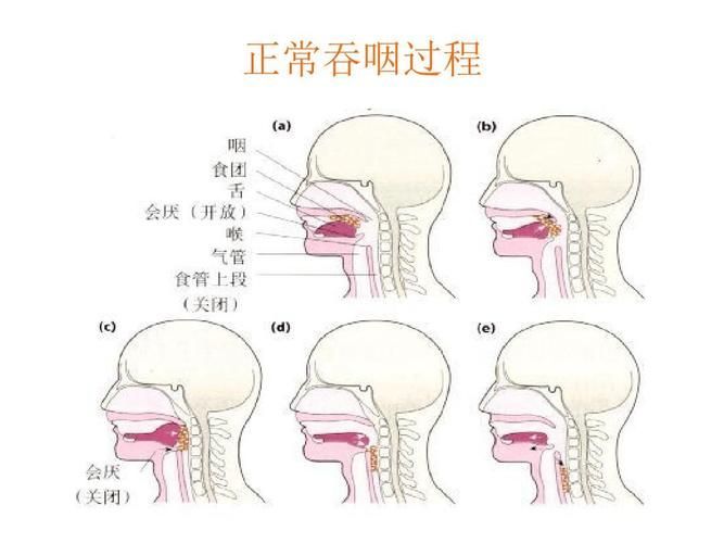 如何判斷患者是否需要喂食,共調(diào)用3個工具,用戶要求詳解如何判斷患者是否需要喂食 龍魚百科 第5張 如何判斷患者是否需要喂食,共調(diào)用3個工具,用戶要求詳解如何判斷患者是否需要喂食 如何判斷患者是否需要喂食,共調(diào)用3個工具,用戶要求詳解如何判斷患者是否需要喂食 龍魚百科 第5張