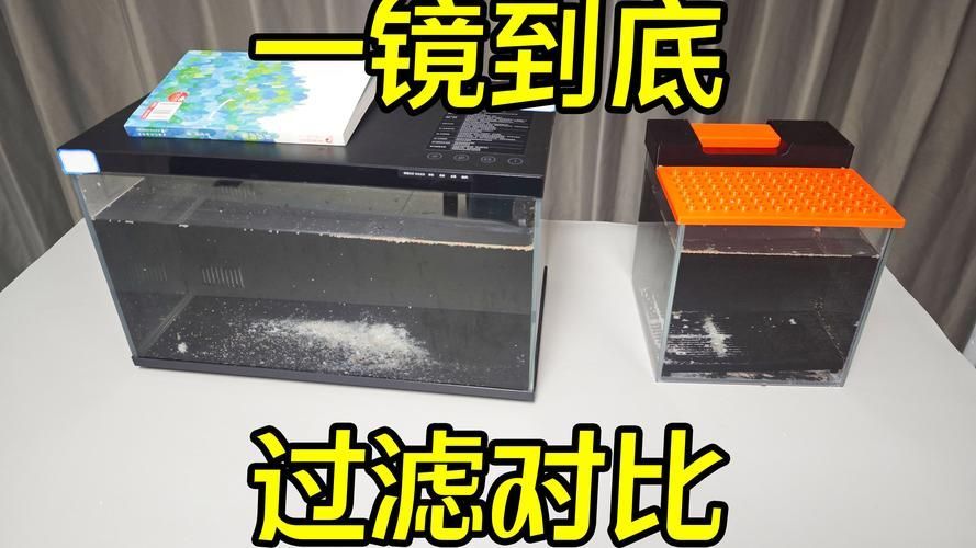 如何設(shè)置魚缸過濾器，如何設(shè)置魚缸過濾器設(shè)置魚缸過濾器設(shè)置合適過濾器 如何設(shè)置魚缸過濾器，如何設(shè)置魚缸過濾器設(shè)置魚缸過濾器設(shè)置合適過濾器 龍魚百科 第8張