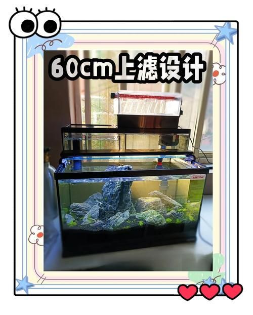 如何設(shè)置魚缸過濾器，如何設(shè)置魚缸過濾器設(shè)置魚缸過濾器設(shè)置合適過濾器 如何設(shè)置魚缸過濾器，如何設(shè)置魚缸過濾器設(shè)置魚缸過濾器設(shè)置合適過濾器 龍魚百科 第10張