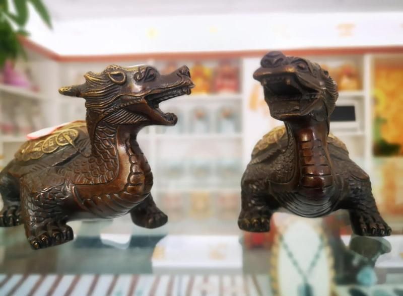 開光龍龜有哪些功效和作用，光龍龜的風水作用與擺放指南