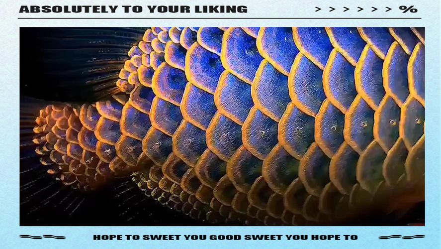 龍魚黑鱗病預防措施有哪些，百度健康-去問診 龍魚黑鱗病預防措施有哪些，百度健康-去問診 龍魚百科 第5張