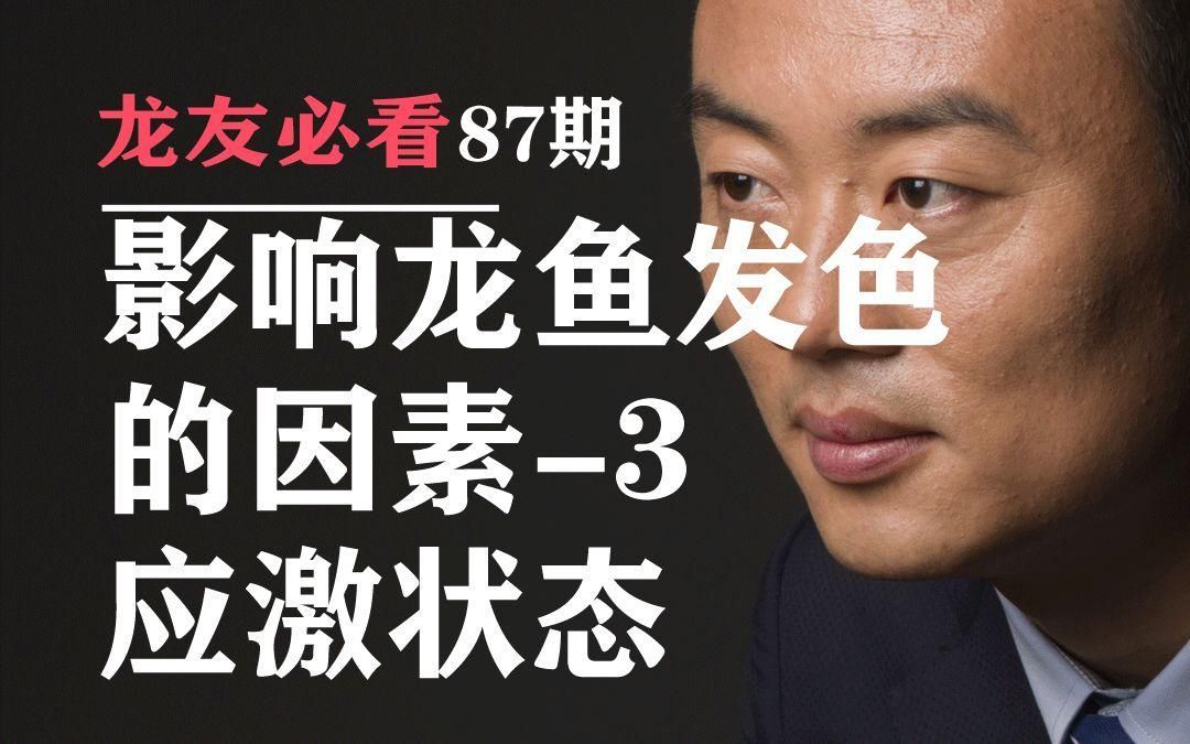 如何判斷龍魚是否應(yīng)激？，如何判斷龍魚是否處于應(yīng)激狀態(tài) 如何判斷龍魚是否應(yīng)激？，如何判斷龍魚是否處于應(yīng)激狀態(tài) 龍魚百科