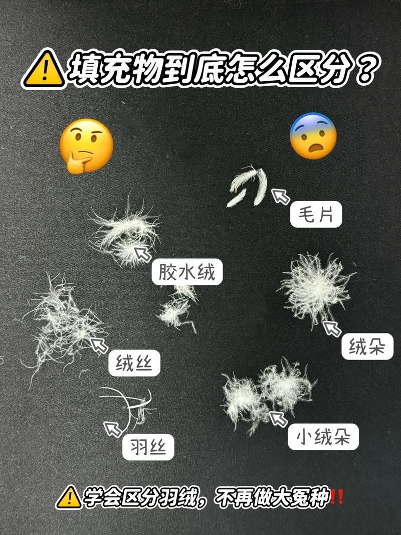 如何判斷一個羽絨服的性價比 如何判斷一個羽絨服的性價比 龍魚百科 第4張