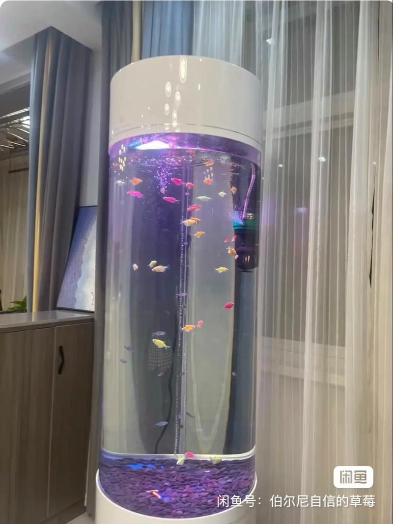 有哪些高端魚(yú)缸品牌推薦?,中國(guó)高端水族箱品牌推薦:魚(yú)缸品牌推薦 龍魚(yú)百科 第20張 有哪些高端魚(yú)缸品牌推薦?,中國(guó)高端水族箱品牌推薦:魚(yú)缸品牌推薦 有哪些高端魚(yú)缸品牌推薦?,中國(guó)高端水族箱品牌推薦:魚(yú)缸品牌推薦 龍魚(yú)百科 第20張