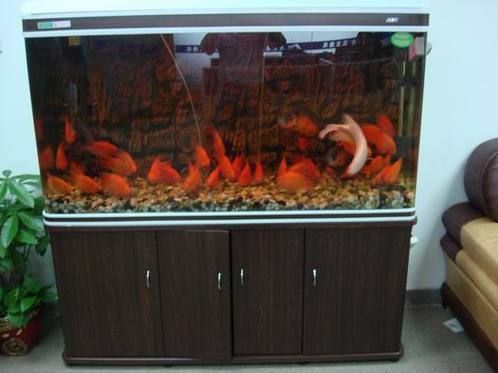 有哪些高端魚(yú)缸品牌推薦?,中國(guó)高端水族箱品牌推薦:魚(yú)缸品牌推薦 龍魚(yú)百科 第14張 有哪些高端魚(yú)缸品牌推薦?,中國(guó)高端水族箱品牌推薦:魚(yú)缸品牌推薦 有哪些高端魚(yú)缸品牌推薦?,中國(guó)高端水族箱品牌推薦:魚(yú)缸品牌推薦 龍魚(yú)百科 第14張