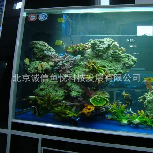有哪些高端魚(yú)缸品牌推薦?,中國(guó)高端水族箱品牌推薦:魚(yú)缸品牌推薦 龍魚(yú)百科 第10張 有哪些高端魚(yú)缸品牌推薦?,中國(guó)高端水族箱品牌推薦:魚(yú)缸品牌推薦 有哪些高端魚(yú)缸品牌推薦?,中國(guó)高端水族箱品牌推薦:魚(yú)缸品牌推薦 龍魚(yú)百科 第10張