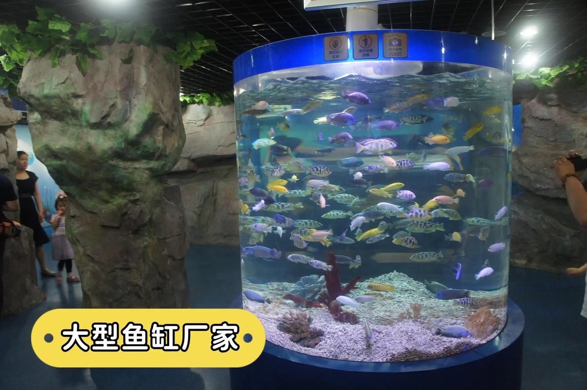 有哪些高端魚(yú)缸品牌推薦?,中國(guó)高端水族箱品牌推薦:魚(yú)缸品牌推薦 龍魚(yú)百科 第11張 有哪些高端魚(yú)缸品牌推薦?,中國(guó)高端水族箱品牌推薦:魚(yú)缸品牌推薦 有哪些高端魚(yú)缸品牌推薦?,中國(guó)高端水族箱品牌推薦:魚(yú)缸品牌推薦 龍魚(yú)百科 第11張