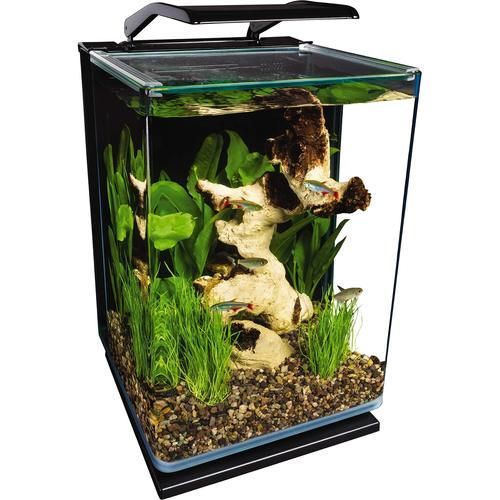 有哪些高端魚(yú)缸品牌推薦?,中國(guó)高端水族箱品牌推薦:魚(yú)缸品牌推薦 龍魚(yú)百科 第8張 有哪些高端魚(yú)缸品牌推薦?,中國(guó)高端水族箱品牌推薦:魚(yú)缸品牌推薦 有哪些高端魚(yú)缸品牌推薦?,中國(guó)高端水族箱品牌推薦:魚(yú)缸品牌推薦 龍魚(yú)百科 第8張