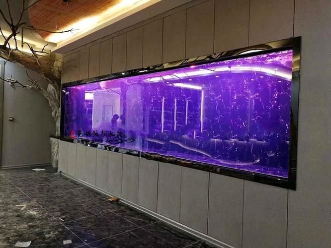 有哪些高端魚(yú)缸品牌推薦?,中國(guó)高端水族箱品牌推薦:魚(yú)缸品牌推薦 龍魚(yú)百科 第12張 有哪些高端魚(yú)缸品牌推薦?,中國(guó)高端水族箱品牌推薦:魚(yú)缸品牌推薦 有哪些高端魚(yú)缸品牌推薦?,中國(guó)高端水族箱品牌推薦:魚(yú)缸品牌推薦 龍魚(yú)百科 第12張