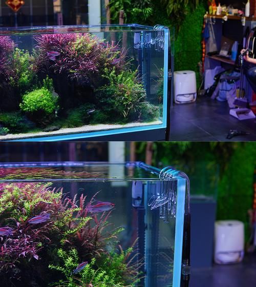 有哪些高端魚(yú)缸品牌推薦?,中國(guó)高端水族箱品牌推薦:魚(yú)缸品牌推薦 龍魚(yú)百科 第4張 有哪些高端魚(yú)缸品牌推薦?,中國(guó)高端水族箱品牌推薦:魚(yú)缸品牌推薦 有哪些高端魚(yú)缸品牌推薦?,中國(guó)高端水族箱品牌推薦:魚(yú)缸品牌推薦 龍魚(yú)百科 第4張