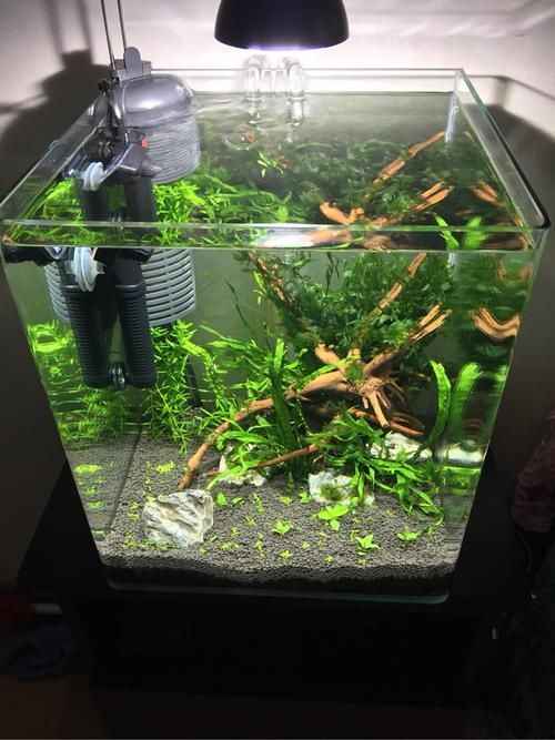 有哪些高端魚(yú)缸品牌推薦?,中國(guó)高端水族箱品牌推薦:魚(yú)缸品牌推薦 龍魚(yú)百科 第3張 有哪些高端魚(yú)缸品牌推薦?,中國(guó)高端水族箱品牌推薦:魚(yú)缸品牌推薦 有哪些高端魚(yú)缸品牌推薦?,中國(guó)高端水族箱品牌推薦:魚(yú)缸品牌推薦 龍魚(yú)百科 第3張