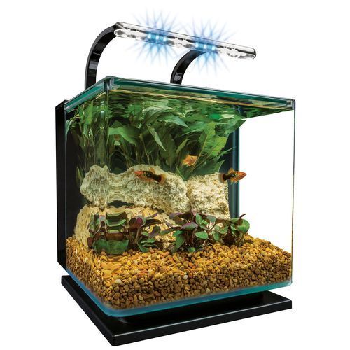 有哪些高端魚(yú)缸品牌推薦?,中國(guó)高端水族箱品牌推薦:魚(yú)缸品牌推薦 龍魚(yú)百科 第7張 有哪些高端魚(yú)缸品牌推薦?,中國(guó)高端水族箱品牌推薦:魚(yú)缸品牌推薦 有哪些高端魚(yú)缸品牌推薦?,中國(guó)高端水族箱品牌推薦:魚(yú)缸品牌推薦 龍魚(yú)百科 第7張