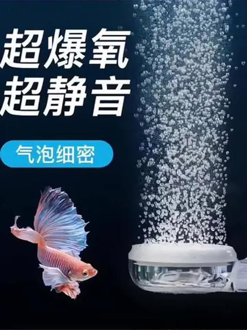 有哪些增氧產品推薦,增氧產品推薦 龍魚百科 第8張 有哪些增氧產品推薦,增氧產品推薦 有哪些增氧產品推薦,增氧產品推薦 龍魚百科 第8張