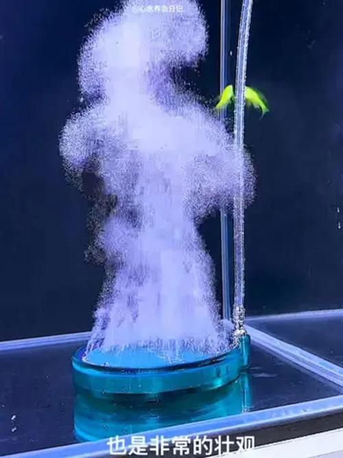 有哪些增氧產品推薦,增氧產品推薦 龍魚百科 第11張 有哪些增氧產品推薦,增氧產品推薦 有哪些增氧產品推薦,增氧產品推薦 龍魚百科 第11張