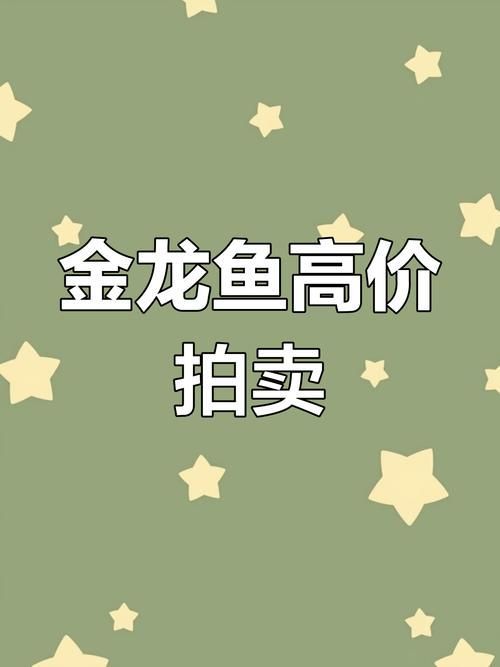 金龍魚活體的批發價格是多少？ 金龍魚活體的批發價格是多少？ 龍魚百科 第3張