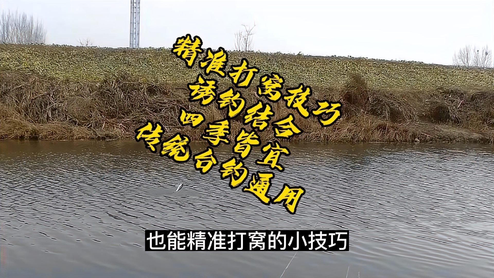 觀魚釣魚有哪些常見誤區，釣魚的誤區你知道多少 觀魚釣魚有哪些常見誤區，釣魚的誤區你知道多少 龍魚百科 第4張