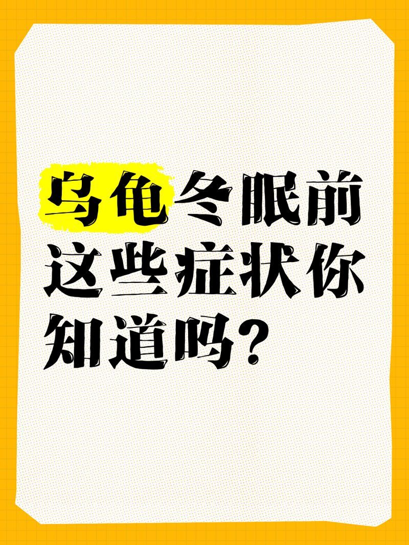 如何判斷烏龜是否需要冬眠，烏龜冬眠前這些癥狀你知道嗎 如何判斷烏龜是否需要冬眠，烏龜冬眠前這些癥狀你知道嗎 龍魚百科 第1張