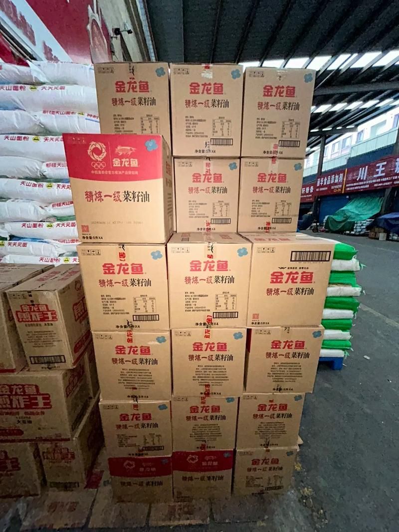 金龍魚批發有哪些注意事項？，金龍魚批發注意事項 金龍魚批發有哪些注意事項？，金龍魚批發注意事項 龍魚百科 第9張