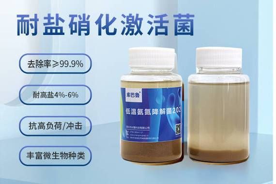 如何恢復失敗的硝化系統 龍魚百科 第3張 如何恢復失敗的硝化系統 如何恢復失敗的硝化系統 龍魚百科 第3張