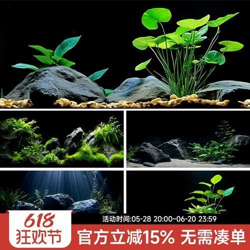 龍魚缸裝飾多久更換一次，龍魚缸裝飾更換頻率取決于多種因素、使用頻率以及水質(zhì)狀況 龍魚缸裝飾多久更換一次，龍魚缸裝飾更換頻率取決于多種因素、使用頻率以及水質(zhì)狀況 龍魚百科 第6張