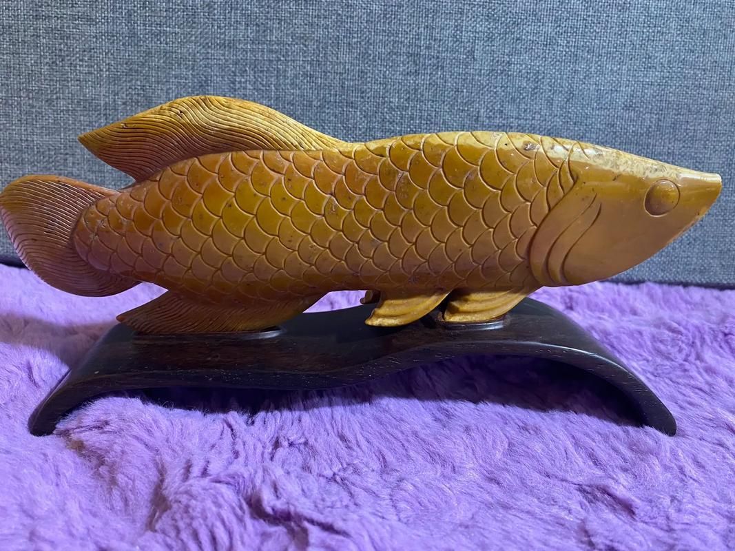 能提供更多雕刻金龍魚的圖片嗎，招財貓魚和羅漢魚哪個更耐養？ 能提供更多雕刻金龍魚的圖片嗎，招財貓魚和羅漢魚哪個更耐養？ 龍魚百科 第9張