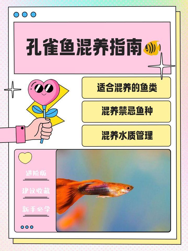 如何判斷魚類是否處于混養狀態 如何判斷魚類是否處于混養狀態 龍魚百科 第10張