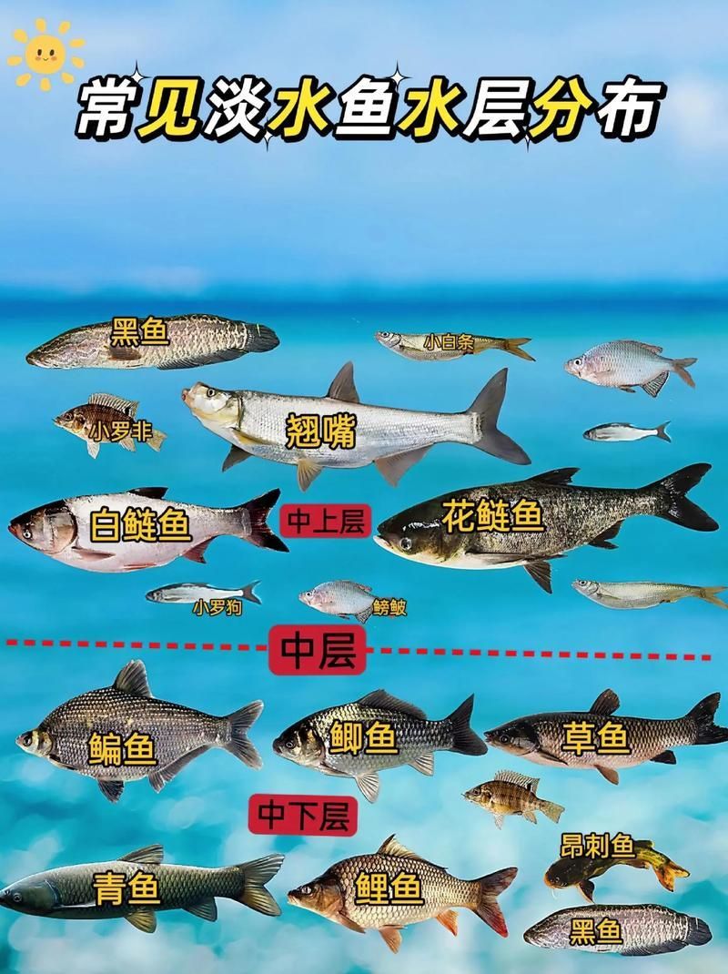 如何判斷魚類是否處于混養狀態 如何判斷魚類是否處于混養狀態 龍魚百科 第4張