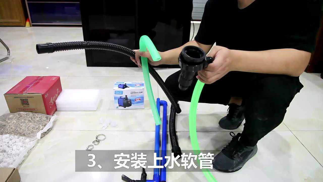 如何判斷龍魚缸的安全性？，如何判斷龍魚缸安全性 如何判斷龍魚缸的安全性？，如何判斷龍魚缸安全性 龍魚百科 第4張