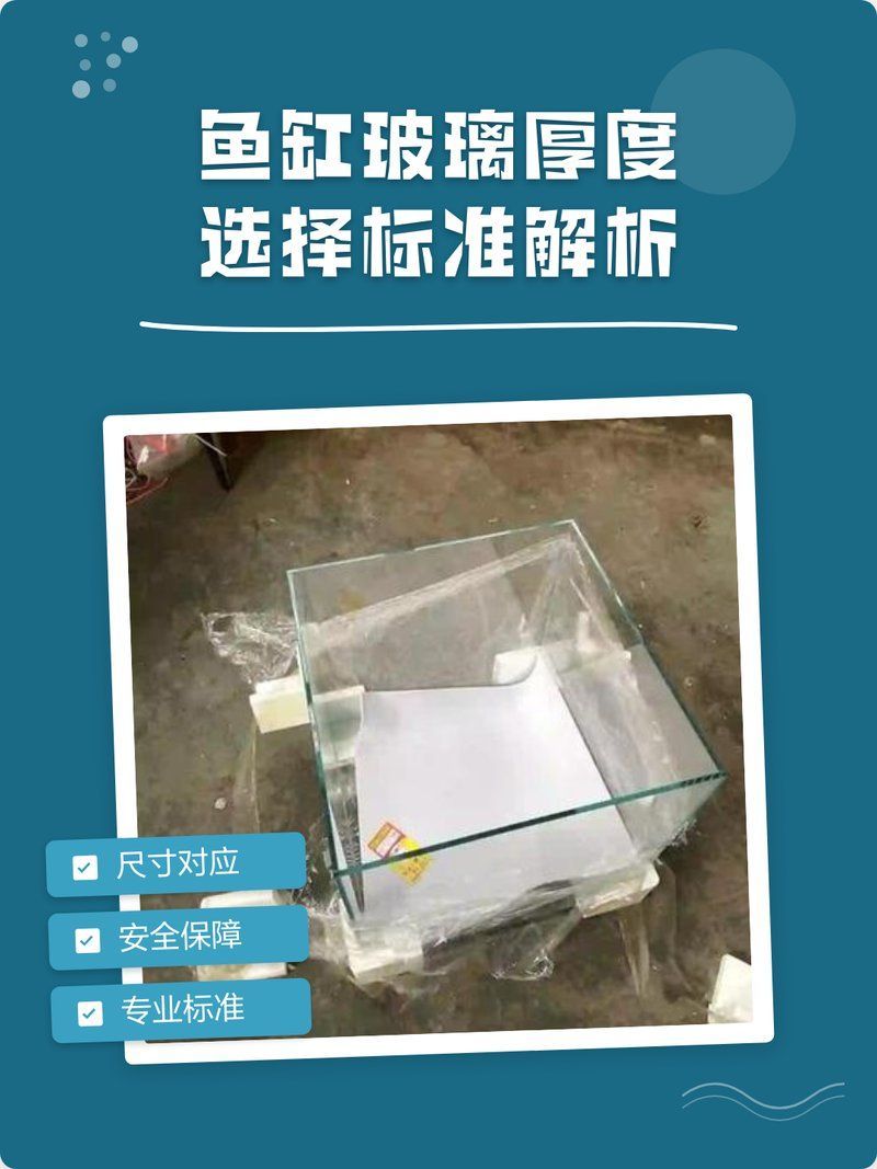 如何判斷龍魚缸的安全性？，如何判斷龍魚缸安全性