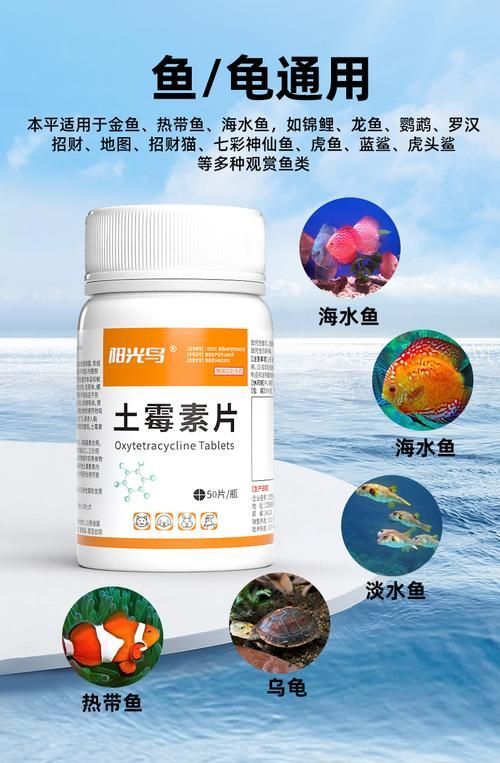 哪些藥物可以促進魚體愈合,促進魚體愈合的藥物 龍魚百科 第6張 哪些藥物可以促進魚體愈合,促進魚體愈合的藥物 哪些藥物可以促進魚體愈合,促進魚體愈合的藥物 龍魚百科 第6張