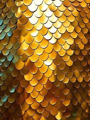 金龍魚稀有品種的飼養方法，金龍魚稀有品種飼養技術 金龍魚稀有品種的飼養方法，金龍魚稀有品種飼養技術 龍魚百科 第2張
