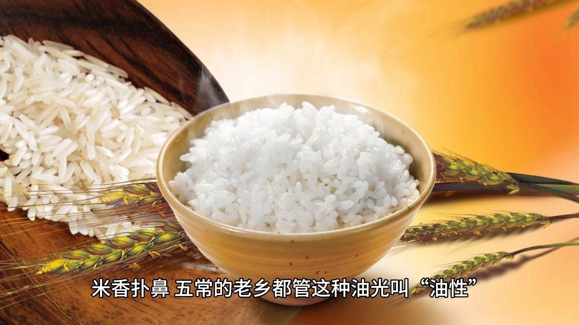 哪個(gè)品牌的大米最香？，哪個(gè)品牌的大米最香 哪個(gè)品牌的大米最香？，哪個(gè)品牌的大米最香 龍魚百科 第2張